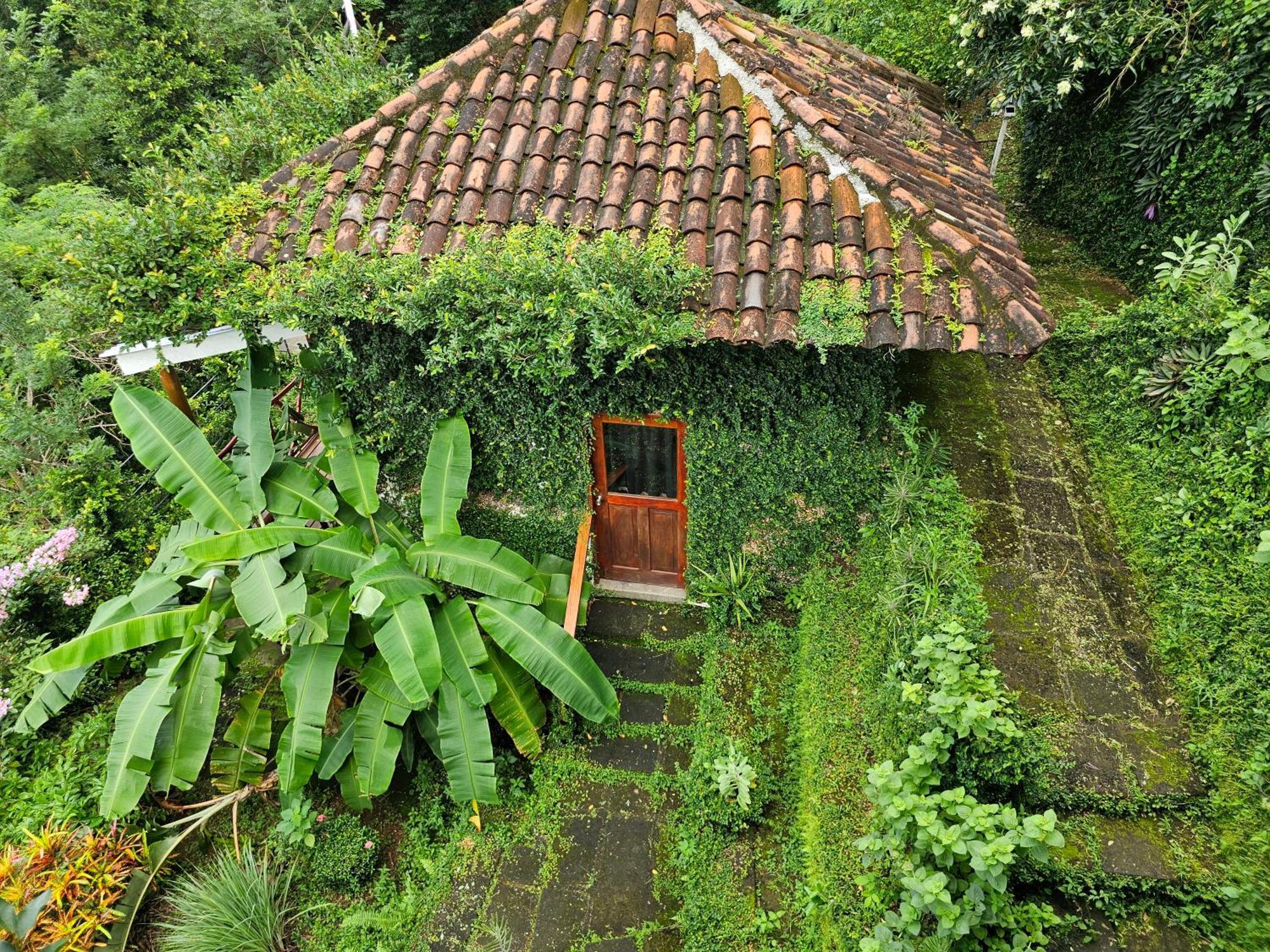 Hotel Casa Andalucia à San Juan del Sur Extérieur photo